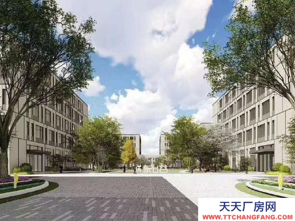 南京市雨花經濟數字專題園區，可貸款有政策，高標準園區