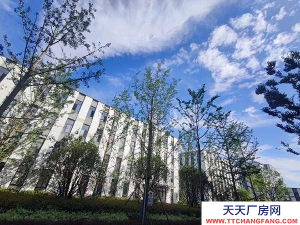南京市雨花經濟數字專題園區，可貸款有政策，高標準園區