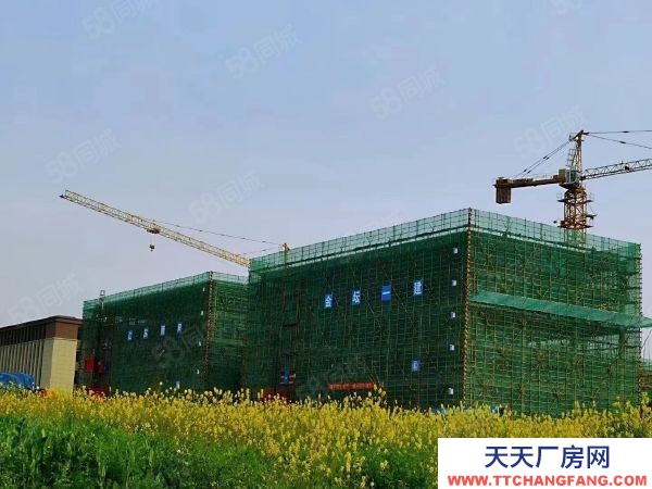 南京市雨花臺區 獨棟1600平標準廠房出售！可掛墻體品牌，50年雙證大產權