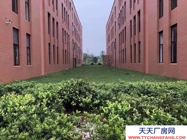 南京市雨花臺區 獨棟1600平標準廠房出售！可掛墻體品牌，50年雙證大產權