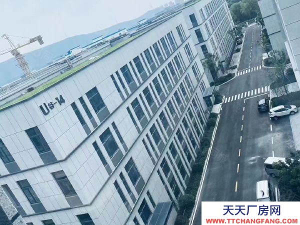 南京市雨花臺經濟開發區,青年路,花園式獨棟和分層產業載體,制造研發