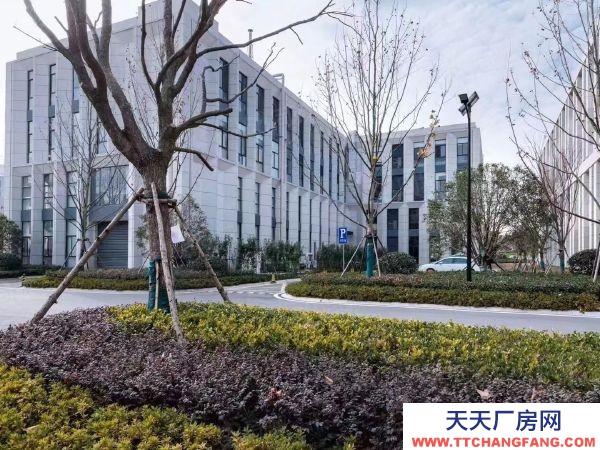 南京市雨花臺經濟開發區,青年路,花園式獨棟和分層產業載體,制造研發