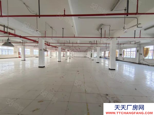 南京市雨花臺(tái)區(qū)空港溧水柘寧東路標(biāo)準(zhǔn)廠房200~4000平辦公倉儲(chǔ)輕加工招租