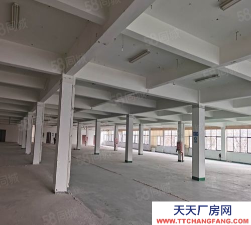 南京市雨花臺(tái)區(qū)空港溧水柘寧東路標(biāo)準(zhǔn)廠房200~4000平辦公倉儲(chǔ)輕加工招租