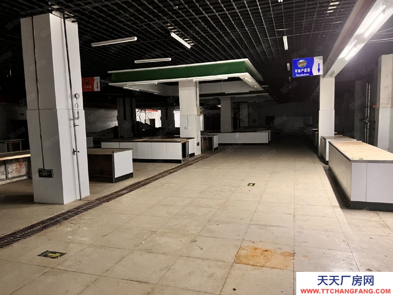 青島黃島區珠山街道人民路4000平廠庫房出租，無中介