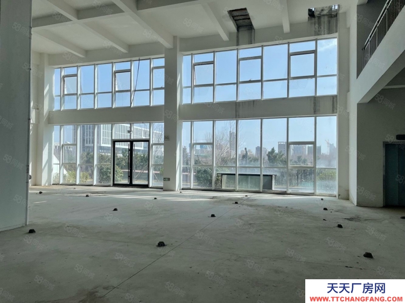 青島黃島50年產權廠房 大平層 層高8米 可定制