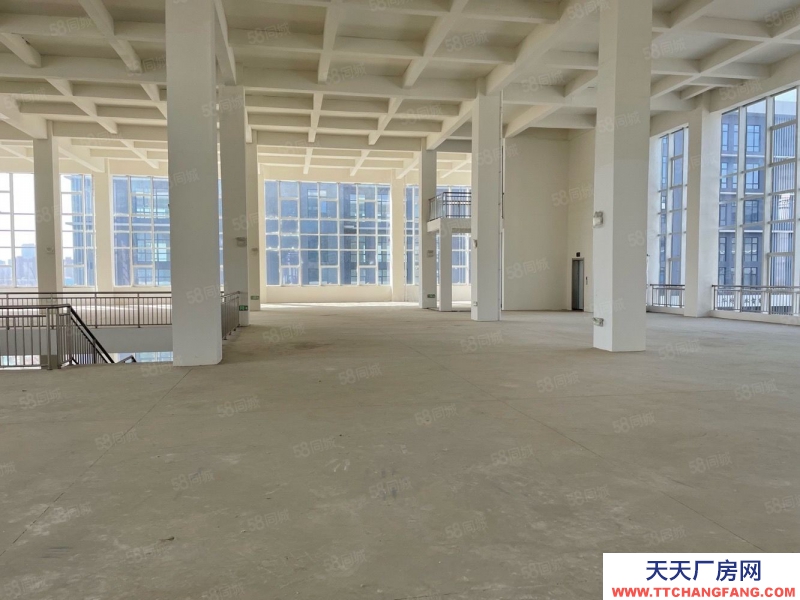 青島黃島50年產(chǎn)權(quán)廠房 大平層 層高8米 可定制