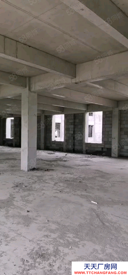 青島黃島底價出！開發區廠房！急售??！