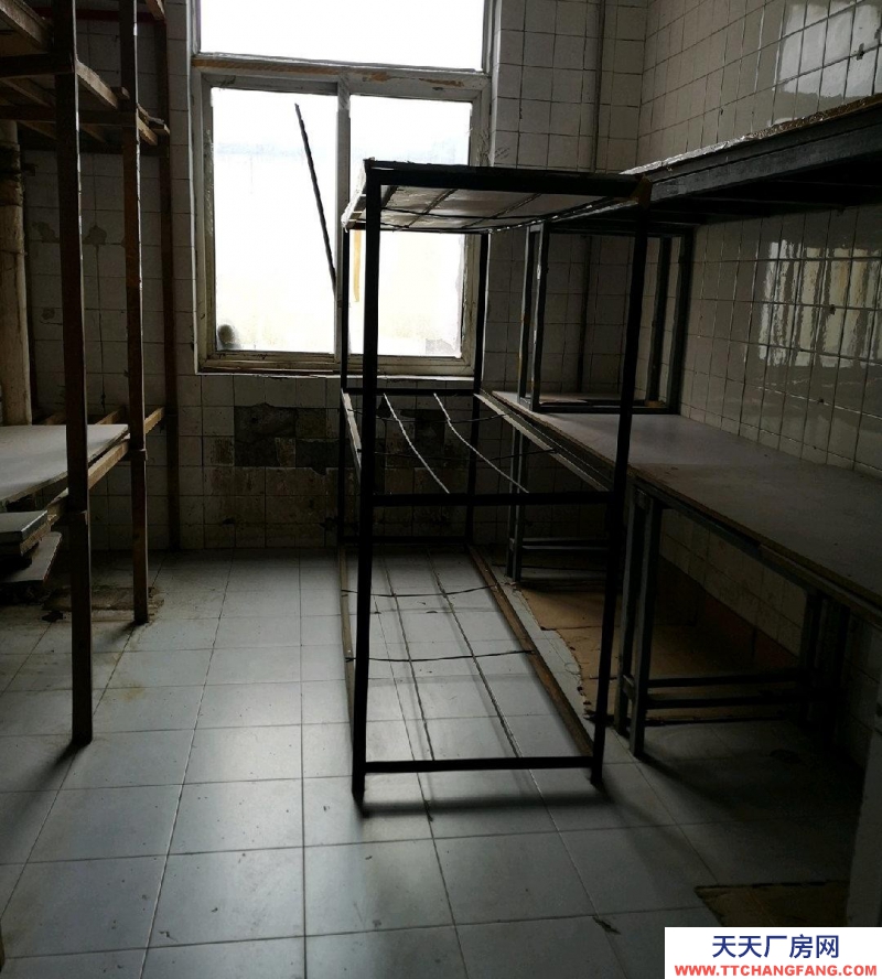 (出租) 地理位置優越，離五愛市場很近，可辦公，可倉儲。