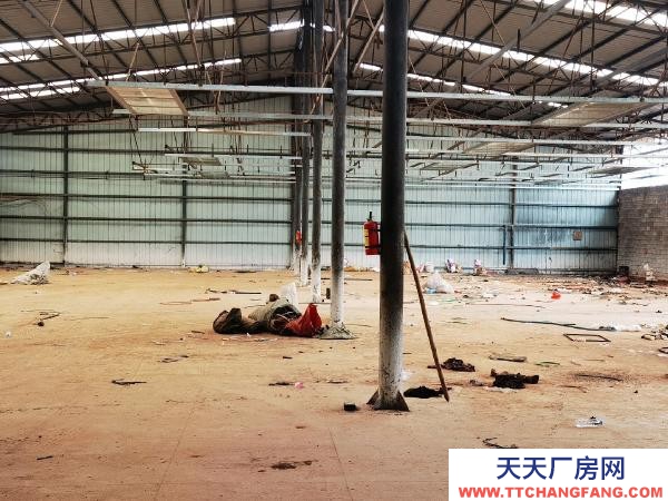 (出租) 標(biāo)準(zhǔn)廠房空間大，采光好。