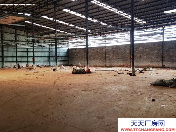 (出租) 標準廠房空間大，采光好。