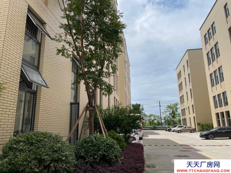 杭州蕭山(出售) 園區廠房裝修完好，設施齊全