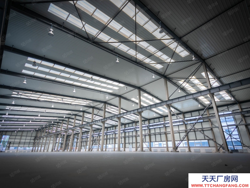 (出售) 自貿(mào)區(qū) 現(xiàn)房 1400平單層 高10米 可做低首付