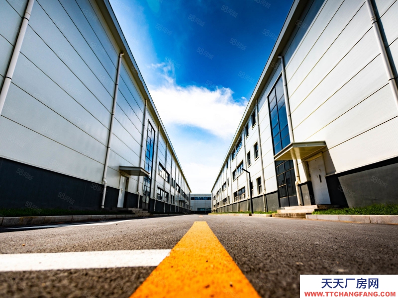 (出售) 自貿(mào)區(qū) 現(xiàn)房 1400平單層 高10米 可做低首付