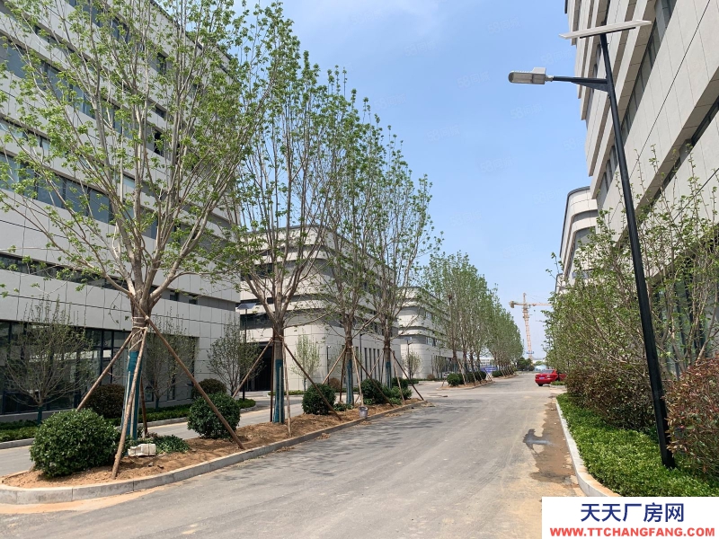 青島嶗山全新兩層獨棟廠房 首層9米 現房出售 開發商 價格可議