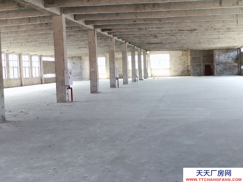 (出租) 重慶銅梁開發(fā)商直租廠房，園區(qū)交通方便，好招工費用低