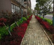 (出租) 武漢黃陂橫店帶行吊工業廠房火熱招租 可分租