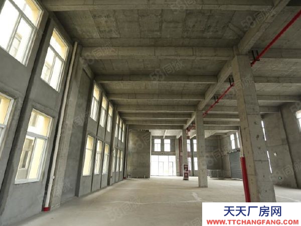 南京市建鄴區長蘆街道旁高標準廠房，50年產權，可按揭，可環評