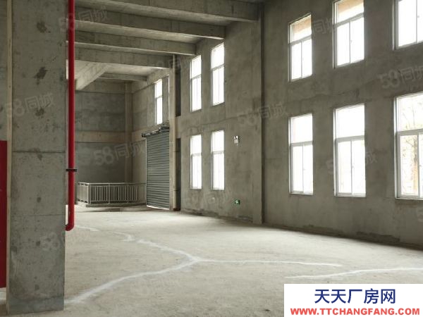 南京市建鄴區長蘆街道旁高標準廠房，50年產權，可按揭，可環評