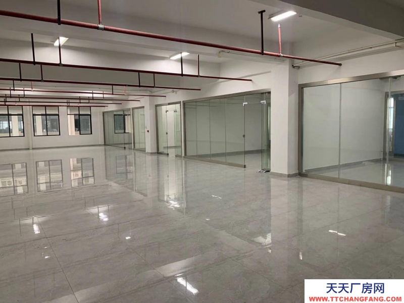 南寧市西鄉(xiāng)塘區(qū)(出租) 國企，和泰工業(yè)園、正鑫科技園