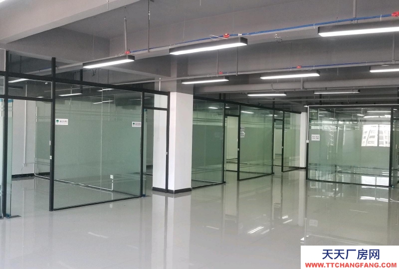 南寧市西鄉塘區(出租) 國企，和泰工業園、正鑫科技園