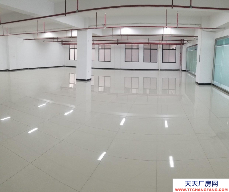 南寧市西鄉塘區(出租) 和泰工業園，正鑫科技園，每個月享受1500元補貼。