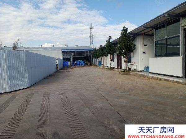 (出租) 白路腳廠房出租，水通，電通，路通，國有土地，可以正常辦理營業