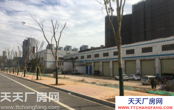 長沙市雨花區(qū)高橋附近若干廠房招租