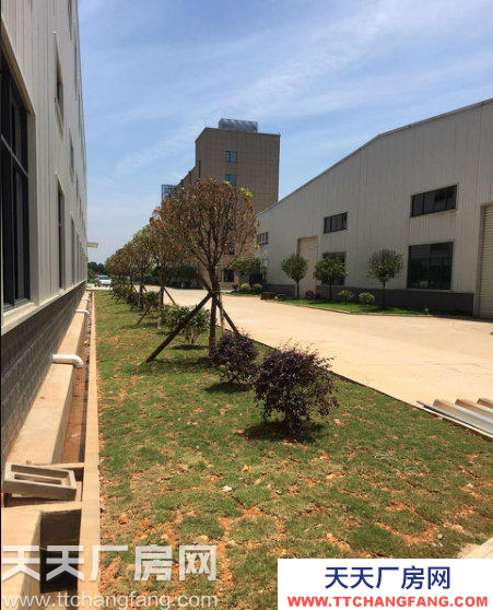 長沙市雨花區(qū)5000平米大廠房出租