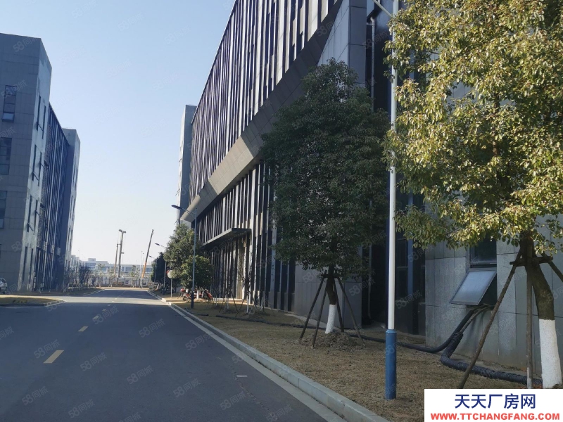 (出租) 南昌西湖區鄱陽湖新建廠房 1520元月平 上下游產業鏈齊全