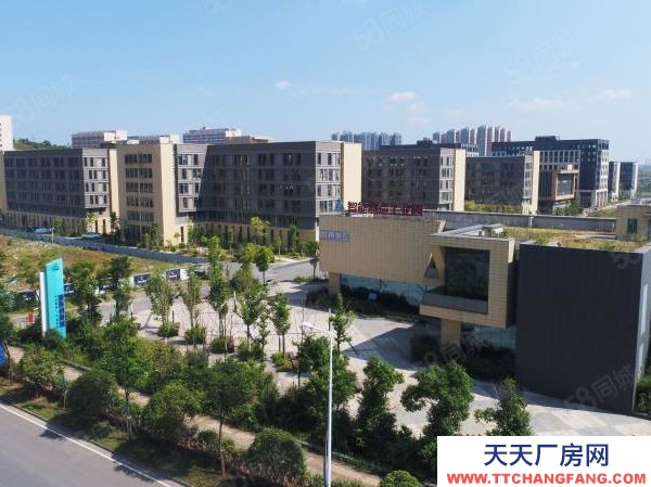 長沙市雨花區(qū)國際創(chuàng)新城寫字樓 廠房 倉庫 出租出售！