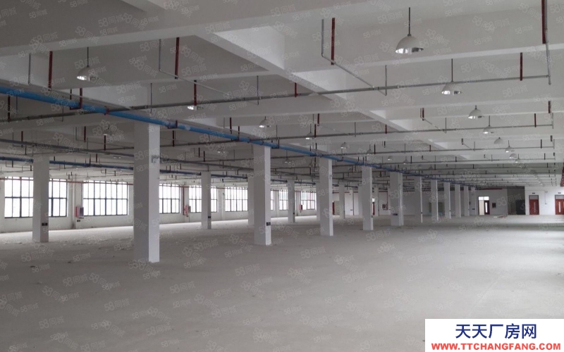 (出租) 安徽包河園區廠房辦公生產倉儲一體化300到2000平超長免租期