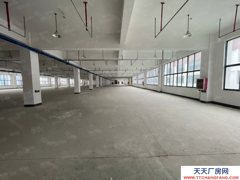 (出租) 安徽包河園區(qū)廠房辦公生產(chǎn)倉(cāng)儲(chǔ)一體化300到2000平超長(zhǎng)免租期