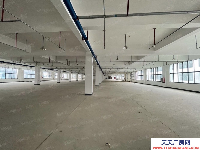 (出租) 安徽包河智能創新產業招商部直租700至5000平免租支持政策支持