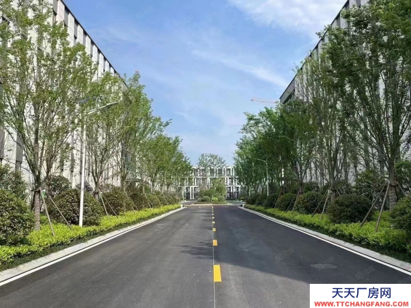 杭州余杭(出售) 老余杭邊，獨(dú)棟與分層廠房，單層1000方