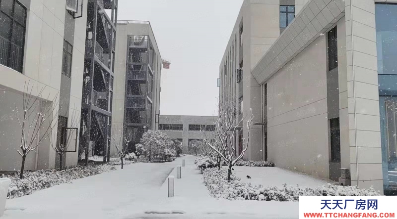 (出售)合肥包河 一企一棟，2成首付，附院子和露臺(tái)，有產(chǎn)證