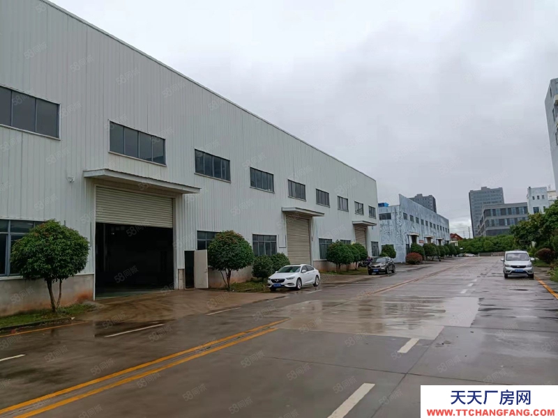 (出租) 南昌新建區望城開發區標準鋼結構廠房出租 可分租