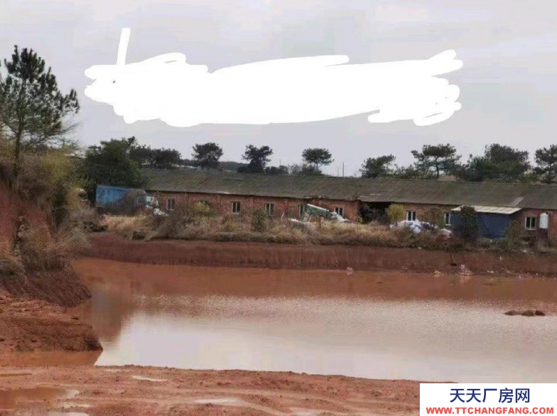 (出租) 南昌新建區養殖廠，硬件設施齊全