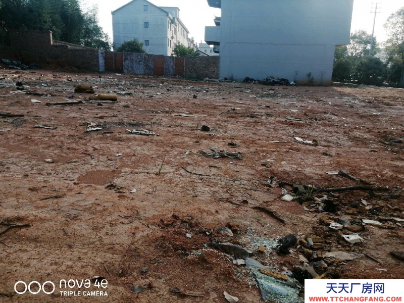 (出租)南昌新建區(qū) 廠(chǎng)房廠(chǎng)地空闊320國(guó)道傍地理位置好