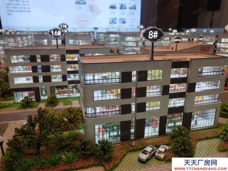 (出售)合肥包河花園獨棟辦公 500到3000平 獨立電梯 獨立入戶 可冠名