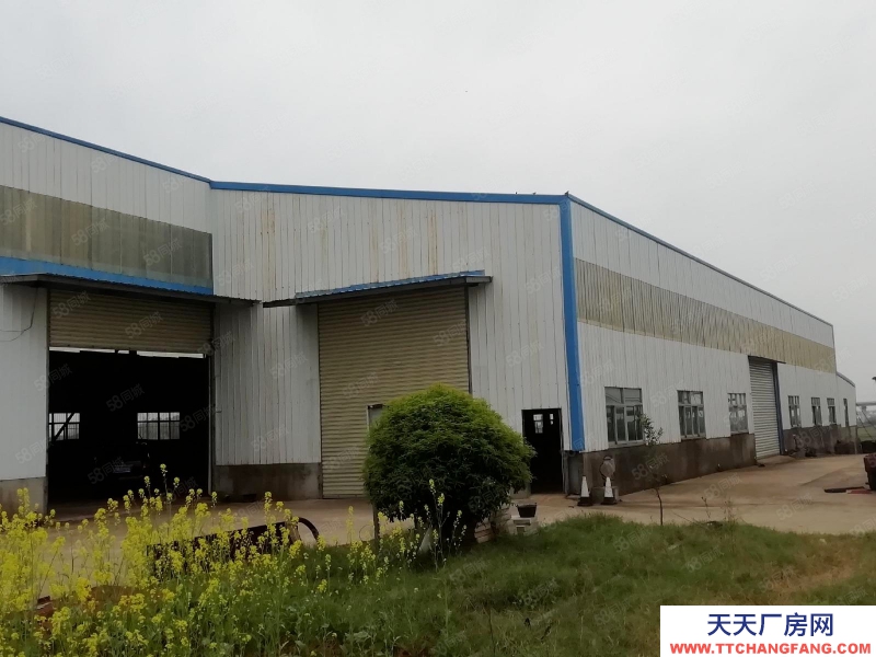 (出租)南昌縣倉庫向塘320國道旁獨院鋼構廠房及空地出租 可分租