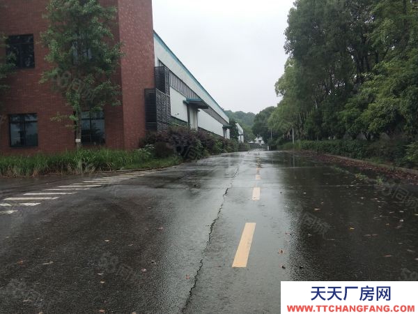 長沙市天心區(qū)  大型廠房出租 適合辦學(xué)校 獨門獨院交通便利形象好