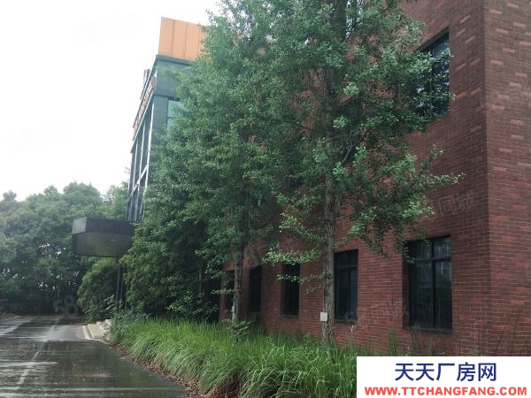 長沙市天心區  大型廠房出租 適合辦學校 獨門獨院交通便利形象好