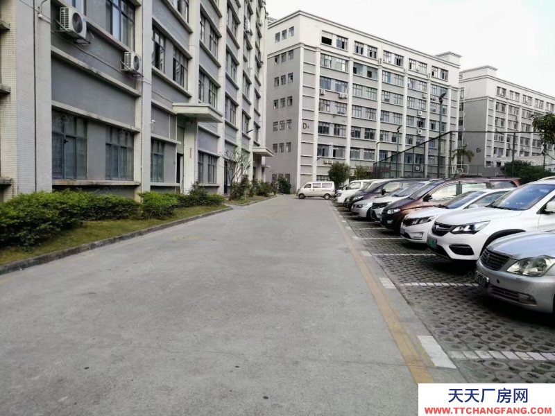 (出租)深圳 羅湖地鐵口廠房寫字樓倉庫29000平米招租