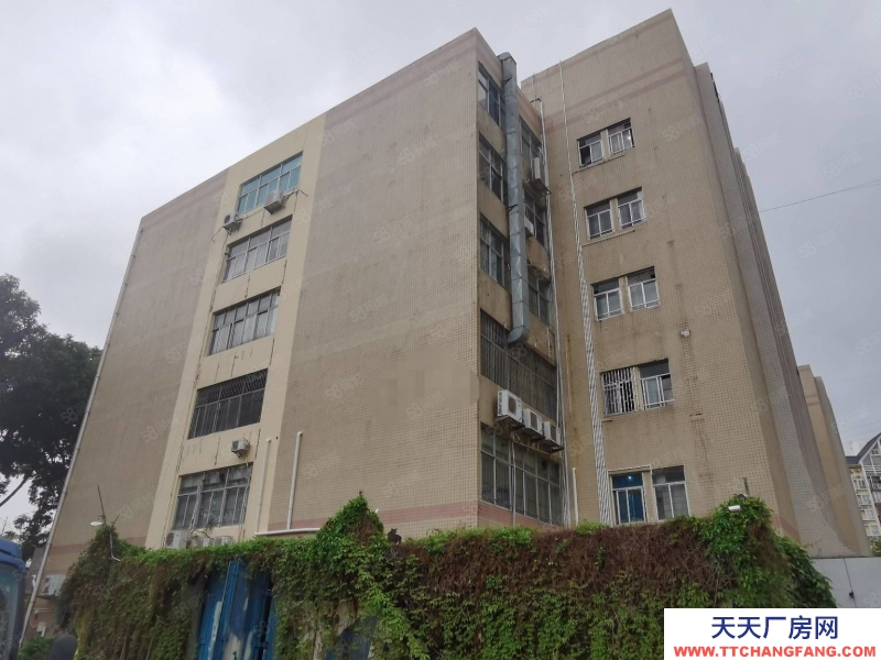 (出售) 深圳福田鵬基工業區廠房出售，13358平方低于市場價1個億