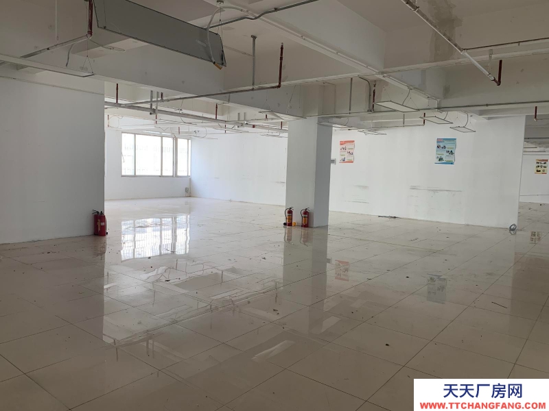 (出租) 深圳福田業主直租車公廟天發大廈2B 1134.65平米 價格面議