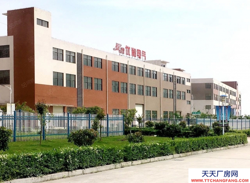 青島膠州標準廠房（首層8.1，二層4.5，超高性價比）