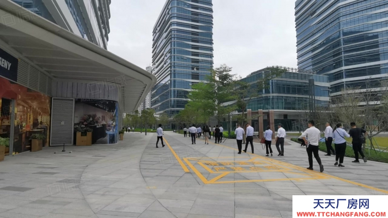 (出租) 深圳南山龍華光明新建獨立紅本研發廠房300平起租，入住免租6個月