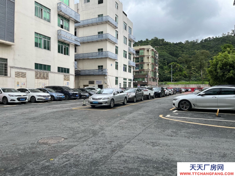 (出租)深圳南山 西麗百旺信產業園廠房12樓出租2500平米