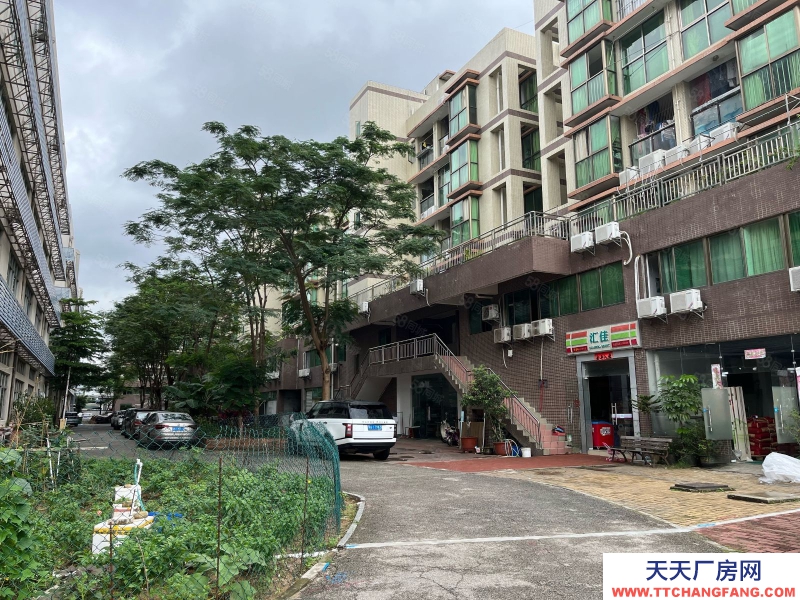 (出租)深圳南山 西麗百旺信產業園廠房12樓出租2500平米